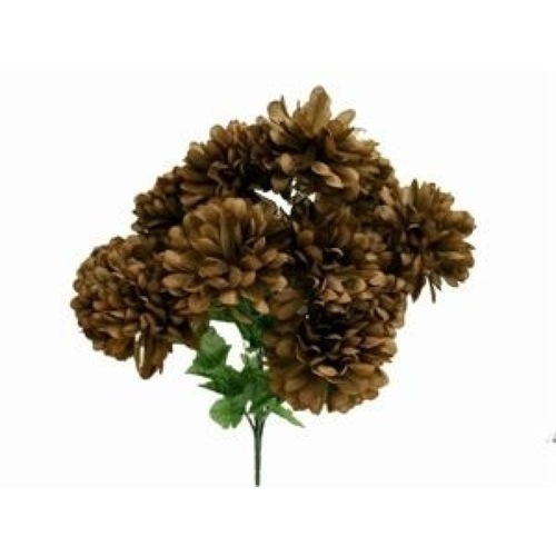 Large View Chrysanthemum - Mum's Flower - Chocolate  