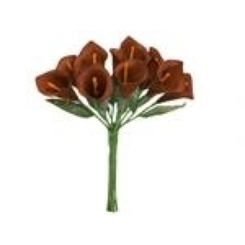 Large View CLEARANCE  Calla Lily - 12 Single Stems - Chocolate