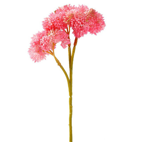 Large View Mini Sedum Succulent Real Touch - Pink