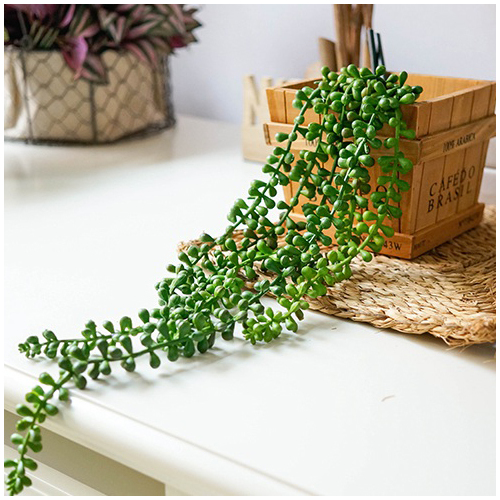 Large View 65cm Green String of Pearls