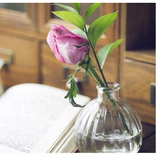 Large View Small Clear Glass Bud Vase - 8.2cm  x 7.5cm